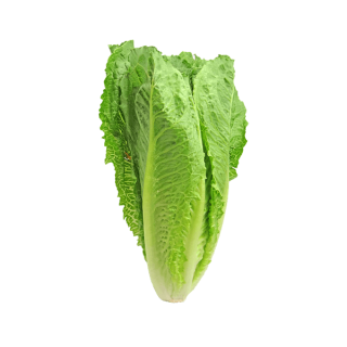 Organic Broccoli