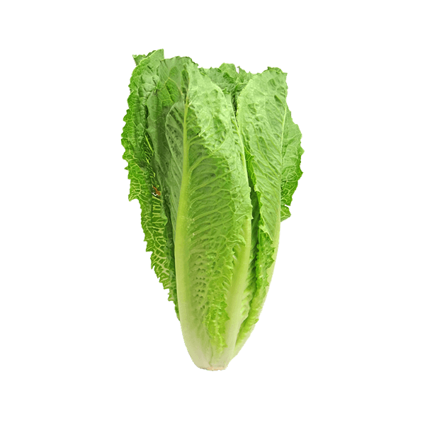 Organic Broccoli